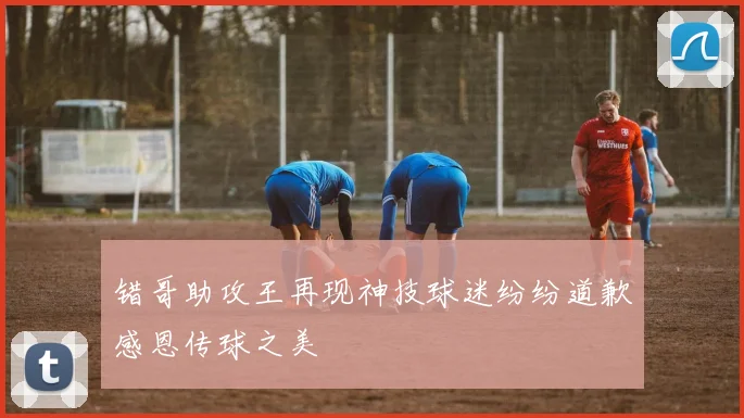 错哥助攻王再现神技球迷纷纷道歉感恩传球之美